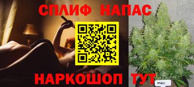 Альфа ПВП Бийск
