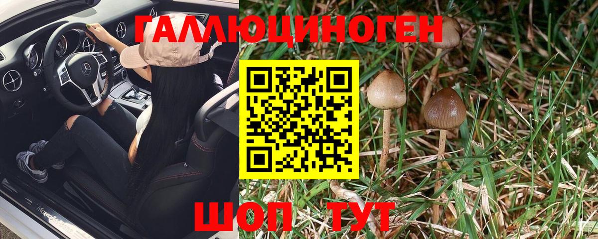 Галлюциногенные грибы Psilocybine cubensis  Галлюциногенные грибы мухоморы  Вход с VPN  Камышлов 